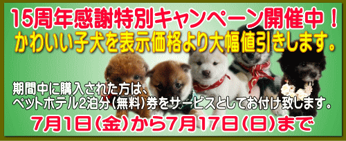 7月1日(金)から7月17日(日)まで