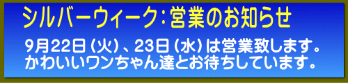 �V���o�[�E�B�[�N�F�c�Ƃ̂��m�点