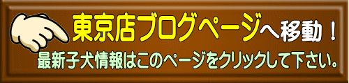 へ移動!