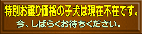 今、しばらくお待ちください。