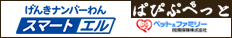 ybgی