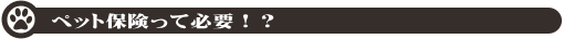 ペット保険って必要!?
