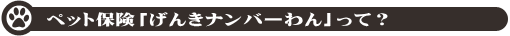 ペット保険「げんきナンバーわん」って?