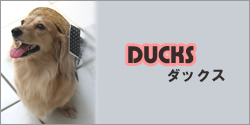 ダックス
