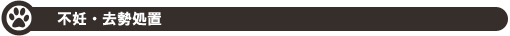 sDE